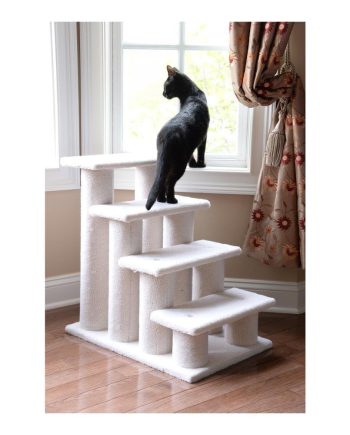 Stairs & Steps