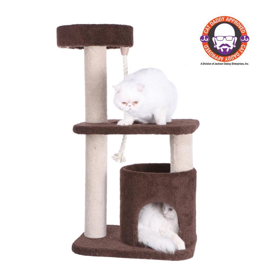 Armarkat 3-Tier Carpeted Real Wood Cat Tree Condo F3703 Kitten Activity Tree, Brown