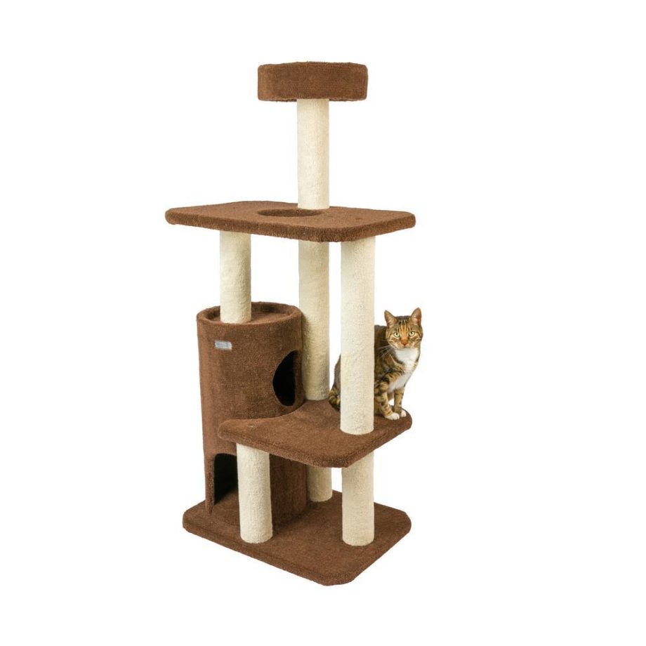 Armarkat 3-Level Carpeted Real Wood Cat Tree Condo F5602, Kitten Playhouse Climber Activity Center, Brown