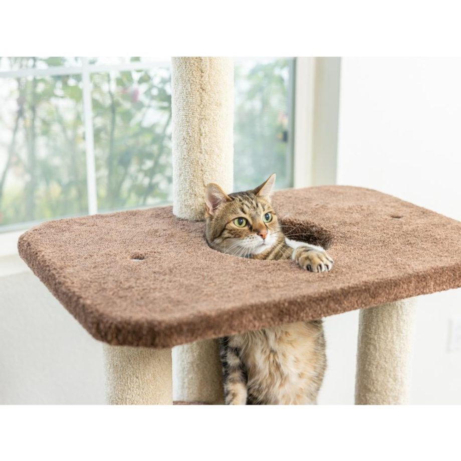 Armarkat 3-Level Carpeted Real Wood Cat Tree Condo F5602, Kitten Playhouse Climber Activity Center, Brown