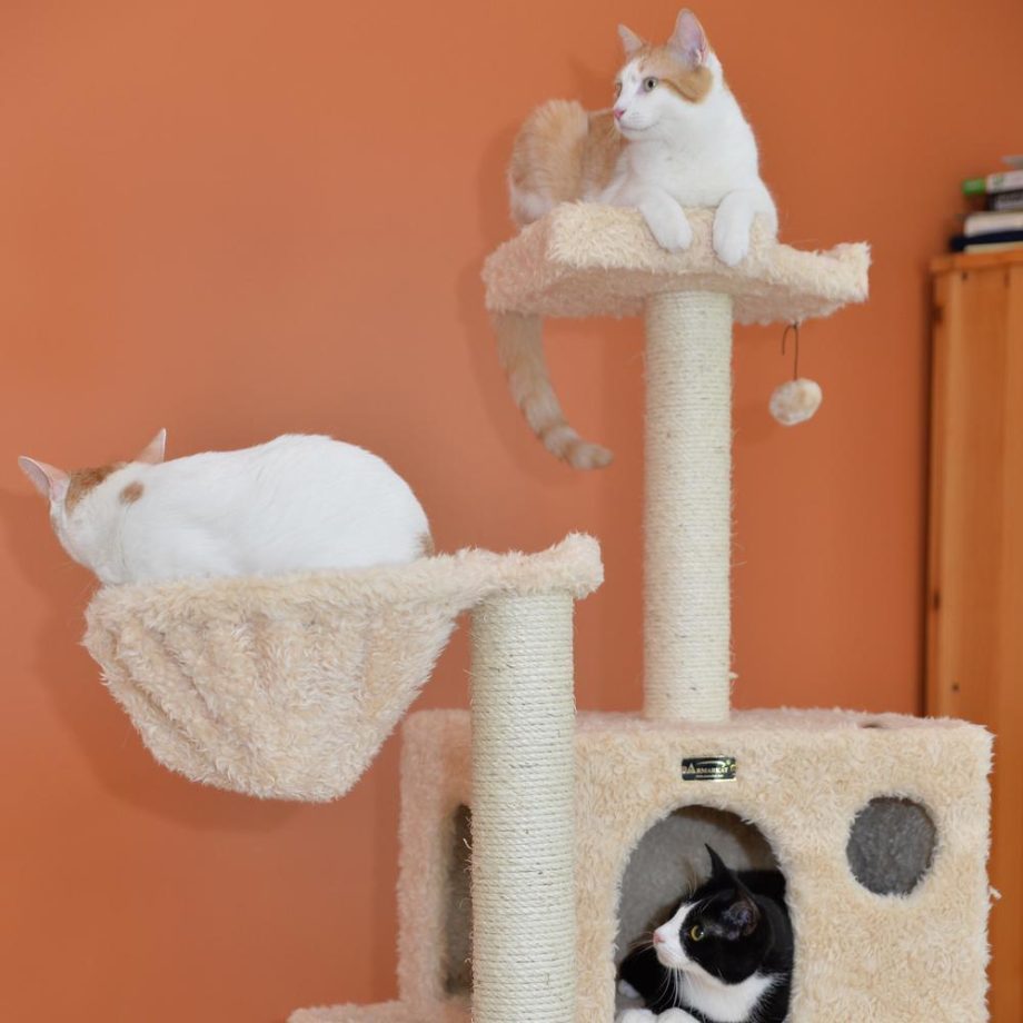 Armarkat Mult -Level Real Wood Cat Tree Hammock Bed, Climbing Center for Cats and Kittens A6901