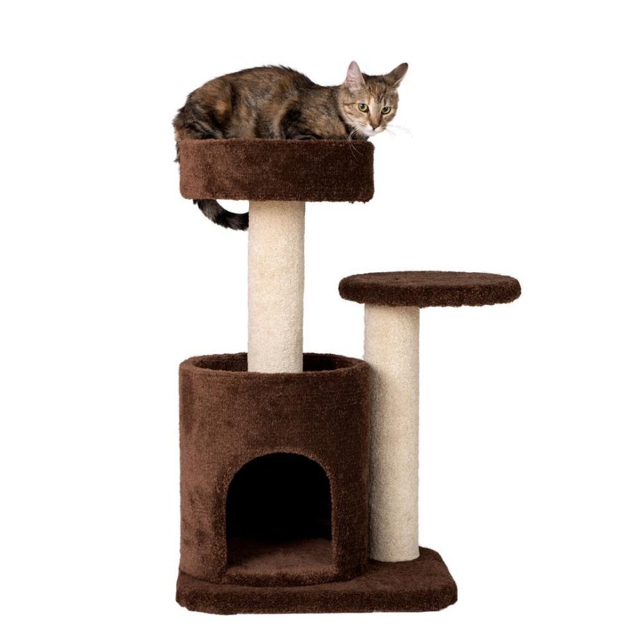 Armarkat F3005 Carpeted Real Wood Cat Tree Condo, Kitten Activity Tree, Brown