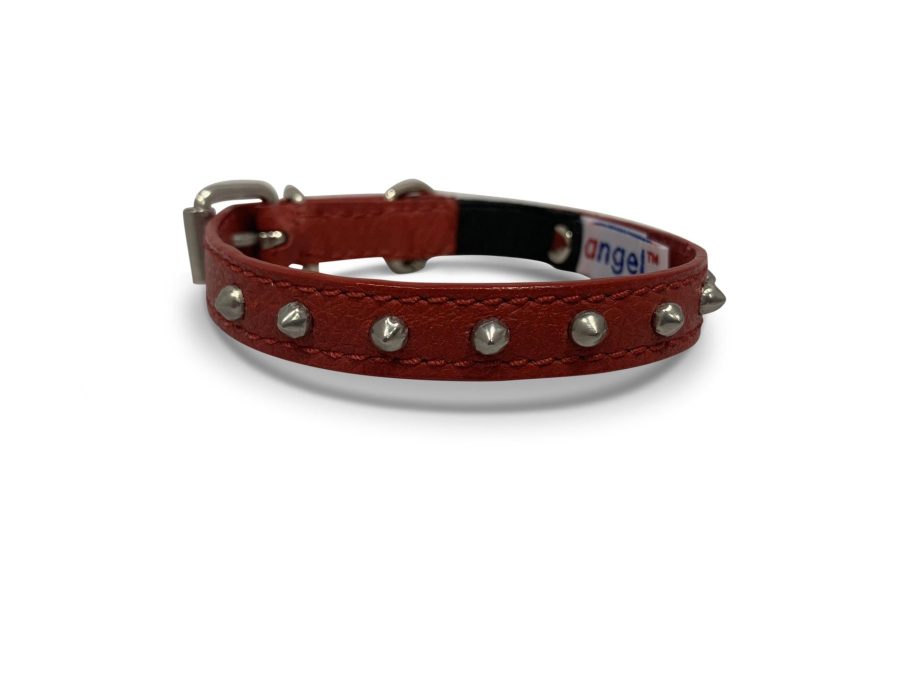 Studded Cat Collars