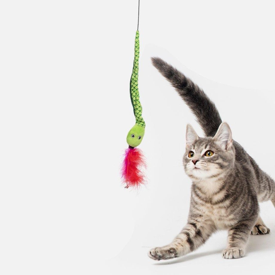 Rainforest Cat Toy Bundle