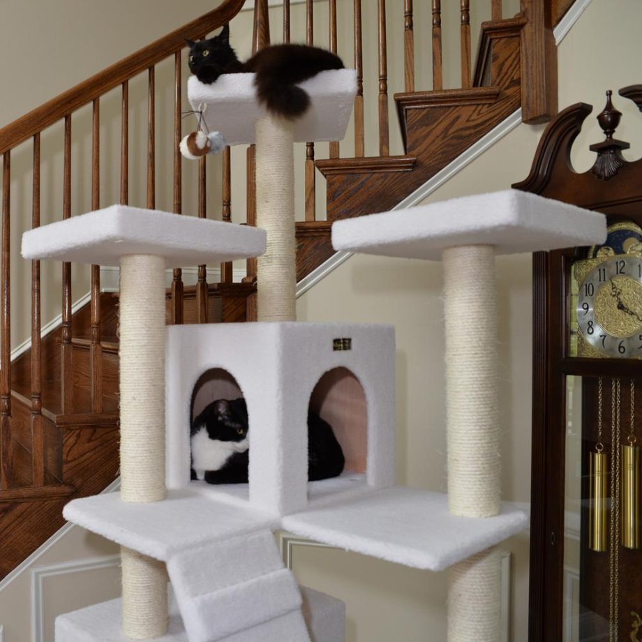 Armarkat B7701 Classic Real Wood Cat Tree In Ivory, Jackson Galaxy Approved, Multi Levels With Ramp, Three Perches, Two Condos