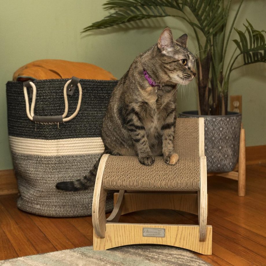 Armarkat Real Wood Medium Wooden Cat Rocking Chair, Detachable Cat Swing Chair S1302