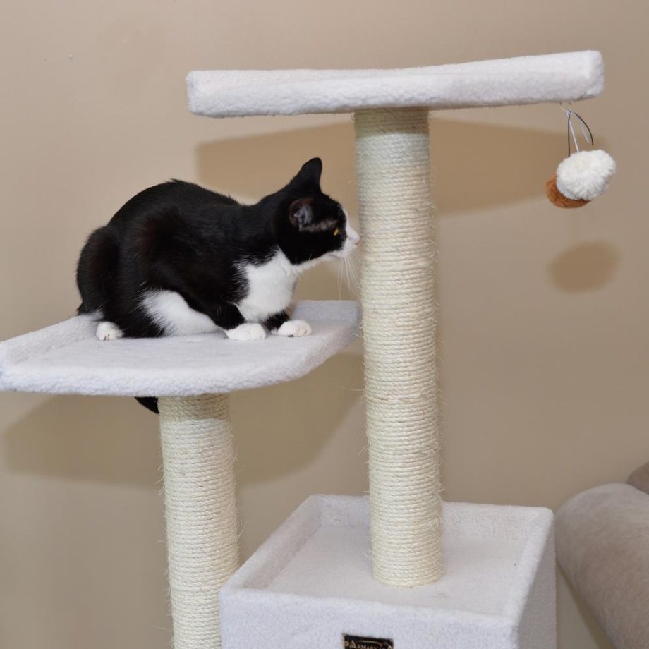 Armarkat B6203 Classic Real Wood Cat Tree, Jackson Galaxy Approved, Five Levels With Condo and Two Perches