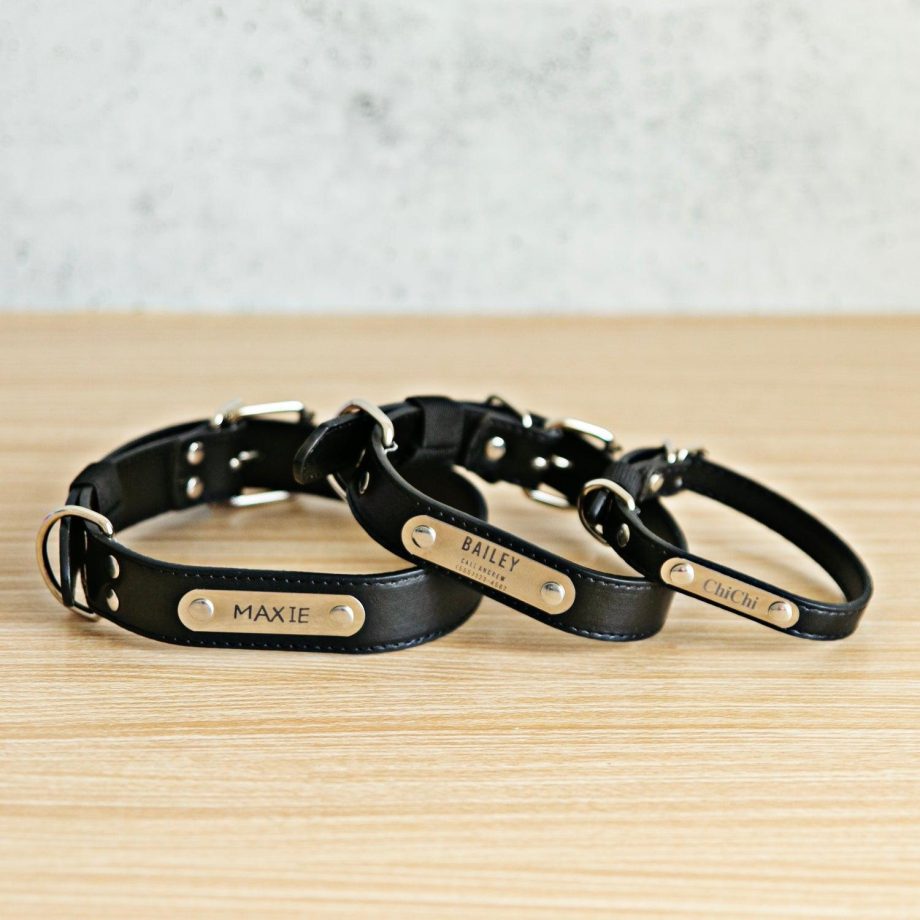 Personalized Leather Pet Collars