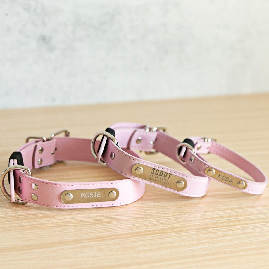 Personalized Leather Pet Collars