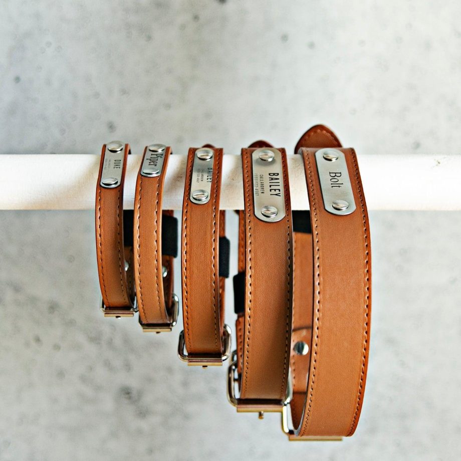 Personalized Leather Pet Collars