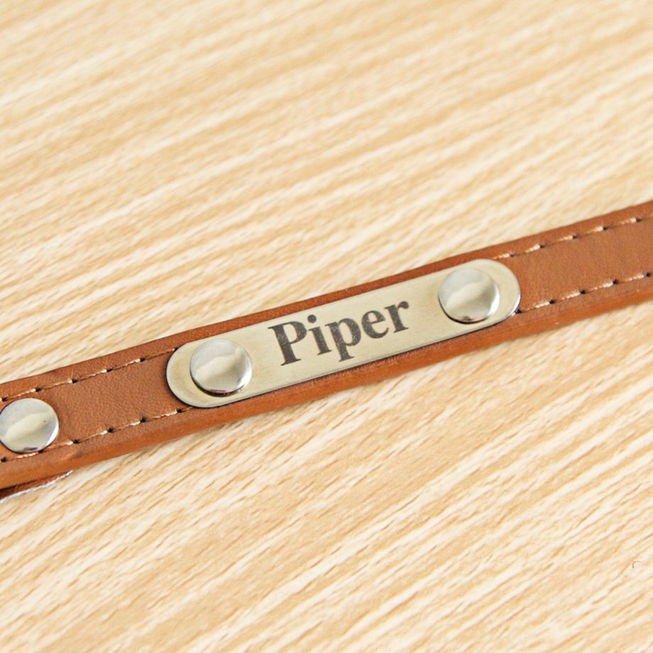 Personalized Leather Pet Collars