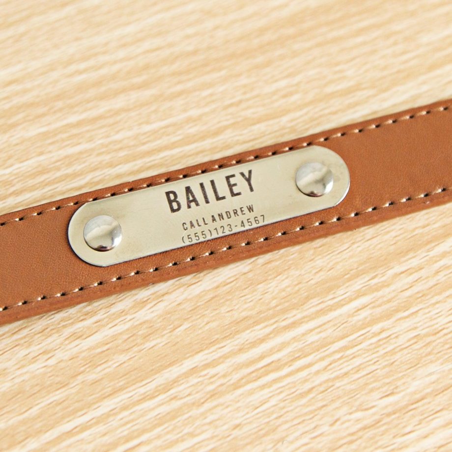 Personalized Leather Pet Collars