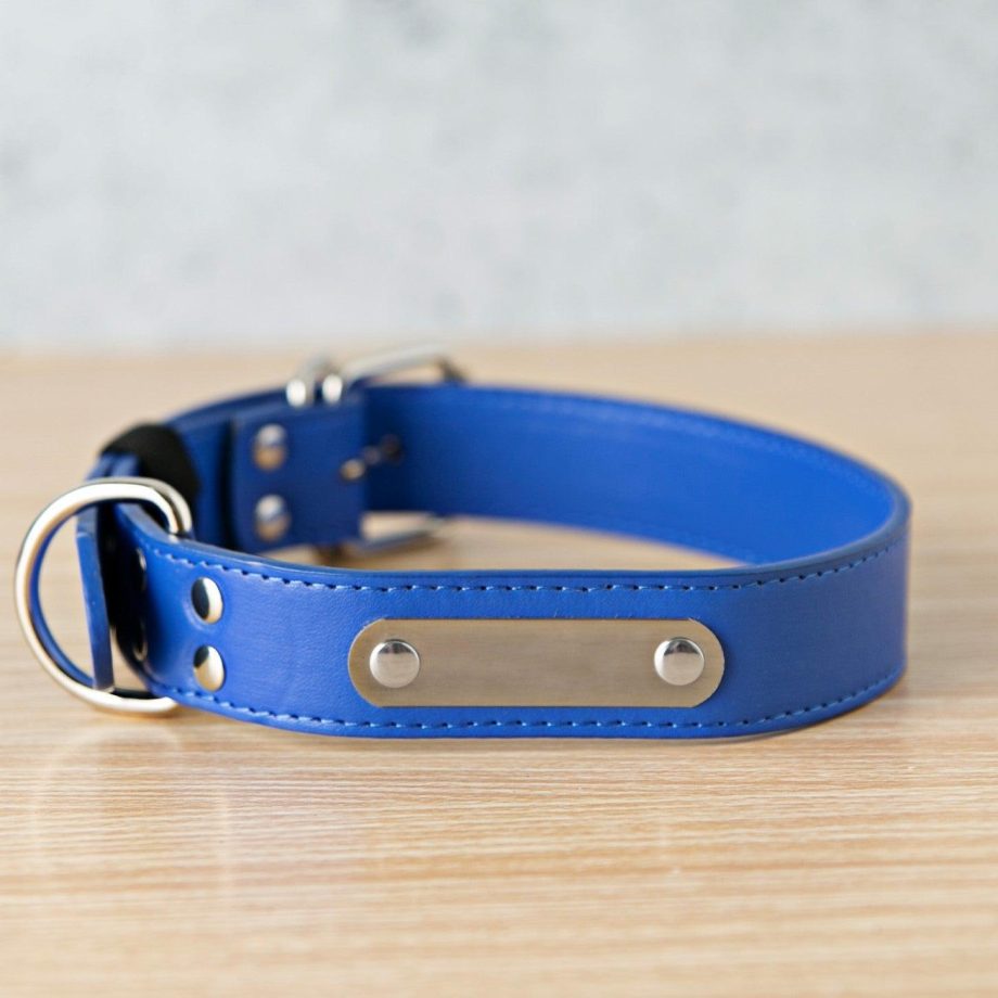 Personalized Leather Pet Collars