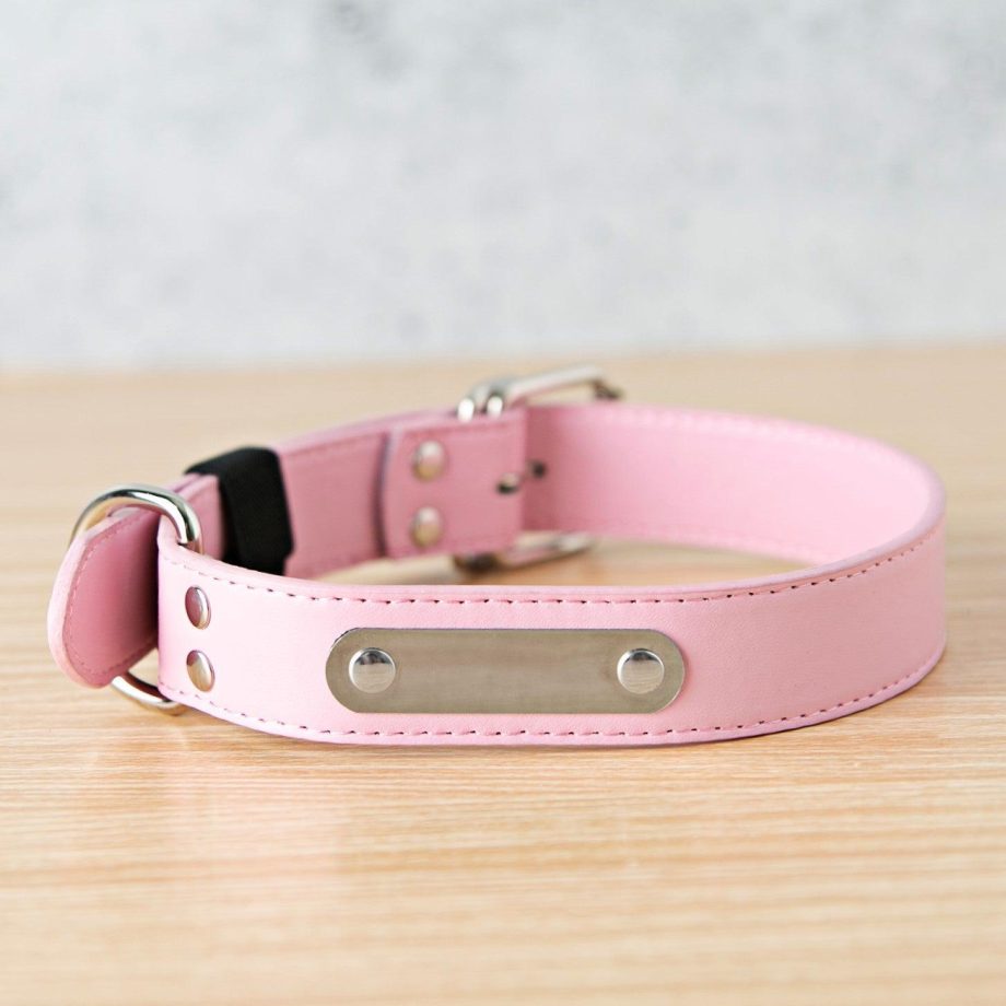 Personalized Leather Pet Collars