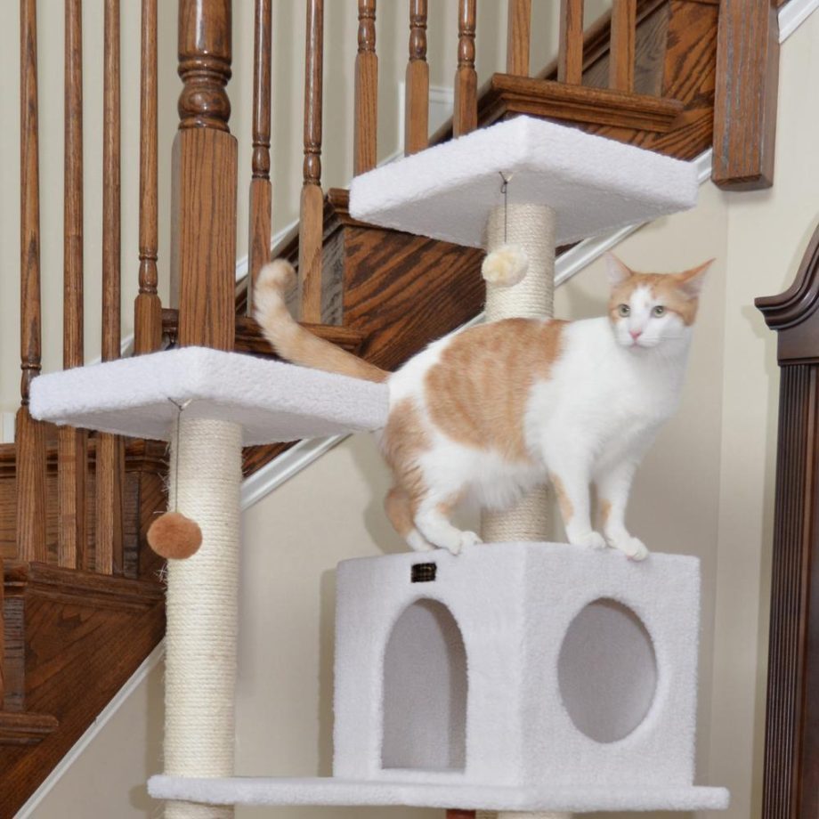 Armarkat B7301 Classic Real Wood Cat Tree In Ivory, Jackson Galaxy Approved, Four Levels With Rope SwIng, Hammock, Condo, and Perch