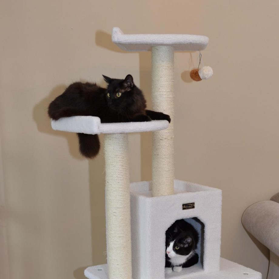 Armarkat B6203 Classic Real Wood Cat Tree, Jackson Galaxy Approved, Five Levels With Condo and Two Perches