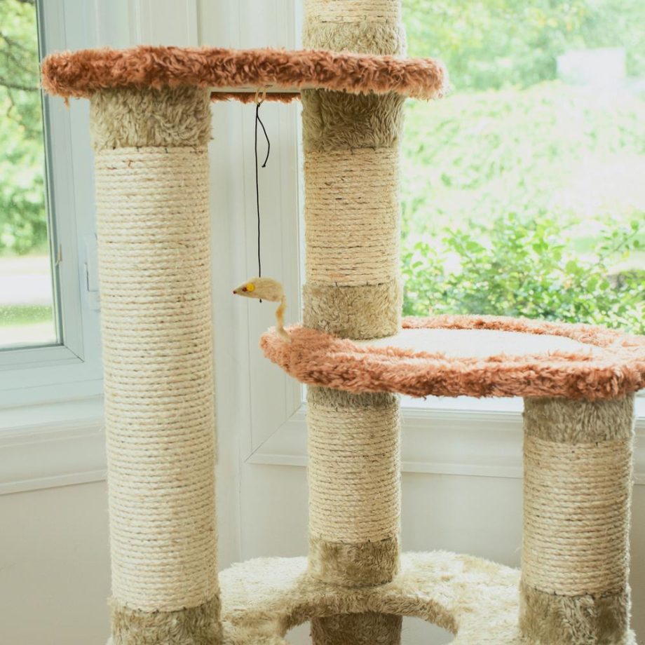 Armarkat Real Wood Cat Climber, Cat Jungle Tree With Sisal Carpet Platforms for Kittens Pets Play, X6606